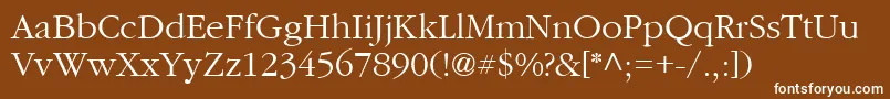CyrillicgaramondNormal Font – White Fonts on Brown Background