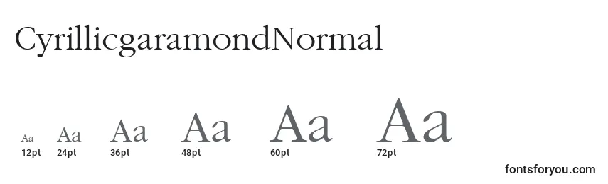 Размеры шрифта CyrillicgaramondNormal