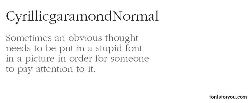 Review of the CyrillicgaramondNormal Font