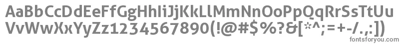 AllerBold Font – Gray Fonts