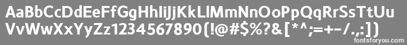 フォントMonsalBold – 灰色の背景に白い文字