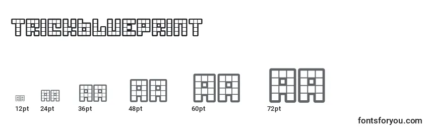 TrickBlueprint Font Sizes