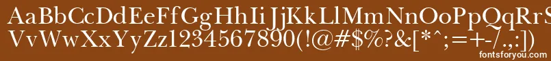 フォントPasmaPlain.001.001 – 茶色の背景に白い文字