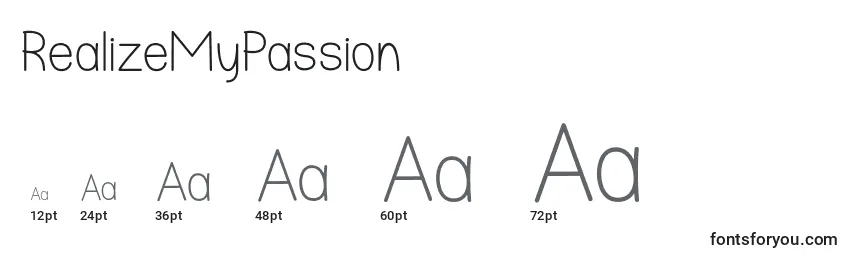 RealizeMyPassion Font Sizes