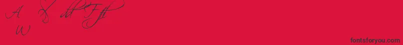 ScriptinaAlternates Font – Black Fonts on Red Background
