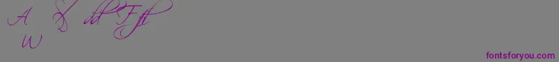 ScriptinaAlternates Font – Purple Fonts on Gray Background