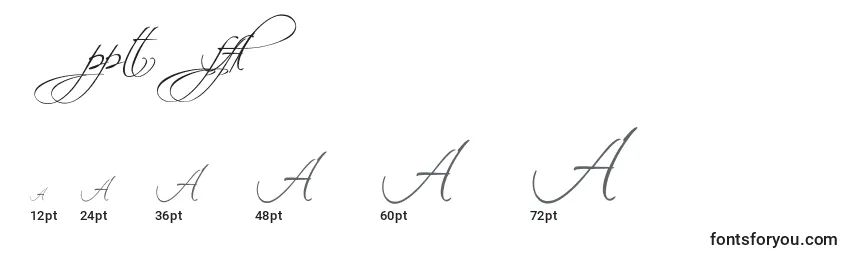 Размеры шрифта ScriptinaAlternates
