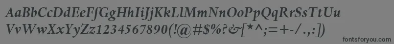 Шрифт DanteMtBoldItalic – чёрные шрифты на сером фоне