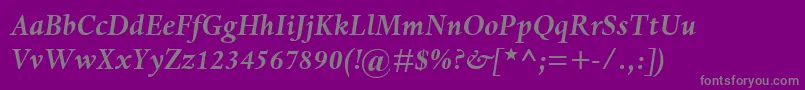 DanteMtBoldItalic-Schriftart – Graue Schriften auf violettem Hintergrund