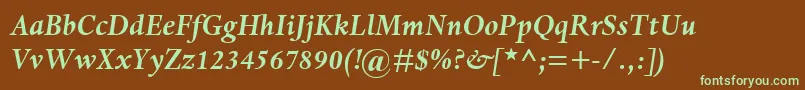 DanteMtBoldItalic Font – Green Fonts on Brown Background