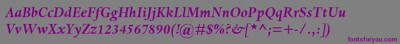 DanteMtBoldItalic-fontti – violetit fontit harmaalla taustalla