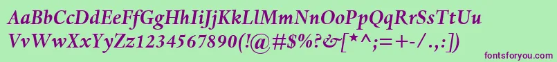 DanteMtBoldItalic Font – Purple Fonts on Green Background