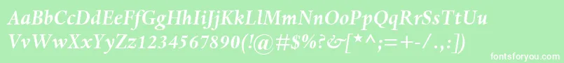 DanteMtBoldItalic Font – White Fonts on Green Background