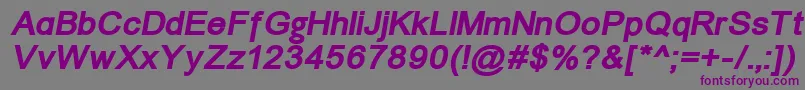 Un1251bi Font – Purple Fonts on Gray Background