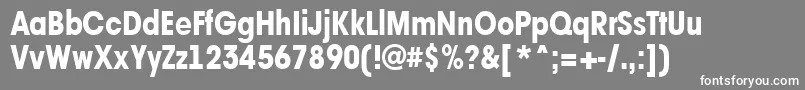 AAvantetcknrExtrabold Font – White Fonts on Gray Background