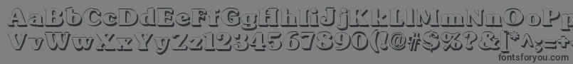 SubwayShadow Font – Black Fonts on Gray Background