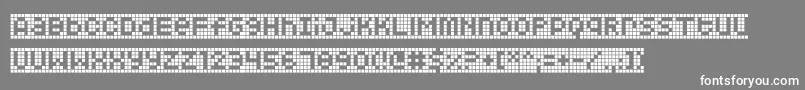 フォントSquarodynamic 10 – 灰色の背景に白い文字