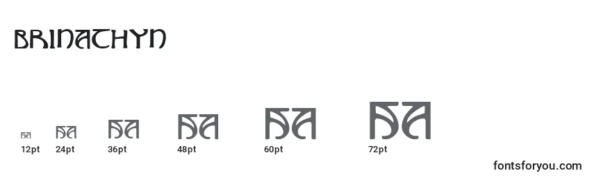 Brinathyn Font Sizes