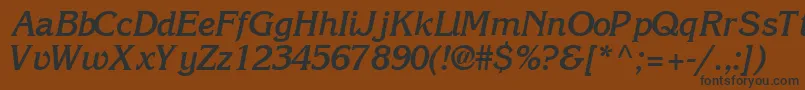 IntuitionsskBoldItalic-fontti – mustat fontit ruskealla taustalla