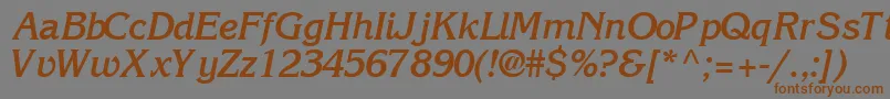 IntuitionsskBoldItalic Font – Brown Fonts on Gray Background