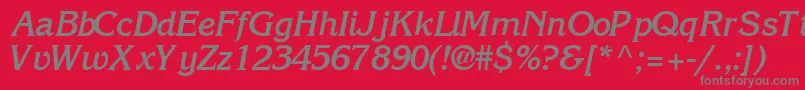 IntuitionsskBoldItalic Font – Gray Fonts on Red Background