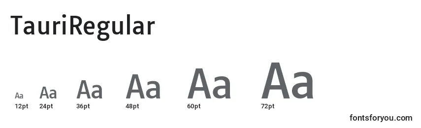 TauriRegular Font Sizes
