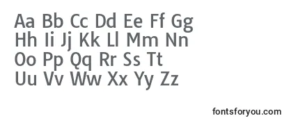 TauriRegular Font