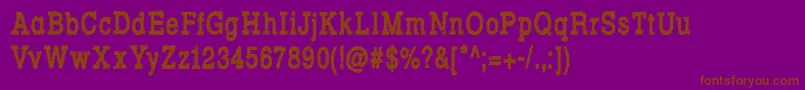 RowdyTypemachine6CondensedBold Font – Brown Fonts on Purple Background