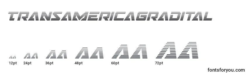 Transamericagradital Font Sizes