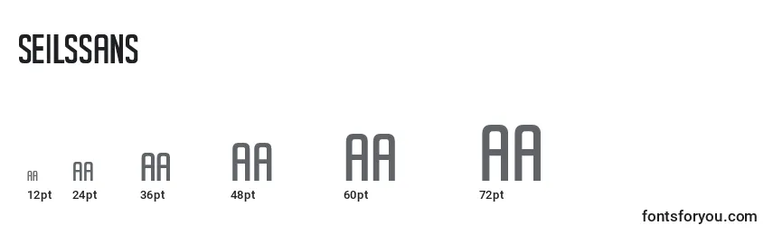 SeilsSans Font Sizes