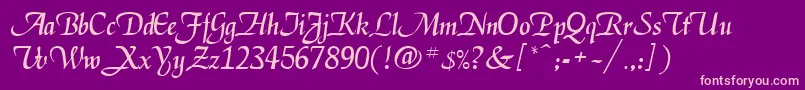 Elgar Font – Pink Fonts on Purple Background