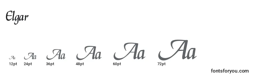 Размеры шрифта Elgar