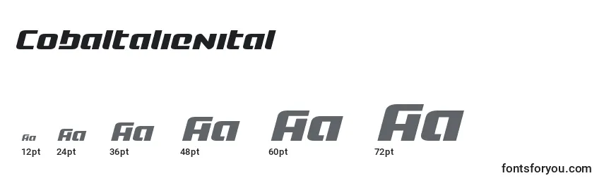 Cobaltalienital Font Sizes