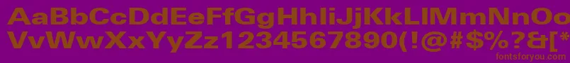 UniversNextProBlackExtended Font – Brown Fonts on Purple Background