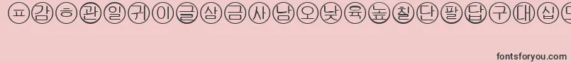 Bullets5koreanRegular Font – Black Fonts on Pink Background