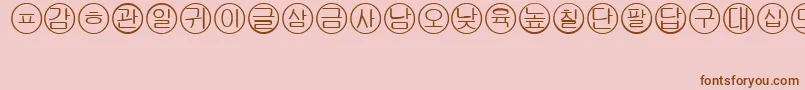 Bullets5koreanRegular Font – Brown Fonts on Pink Background