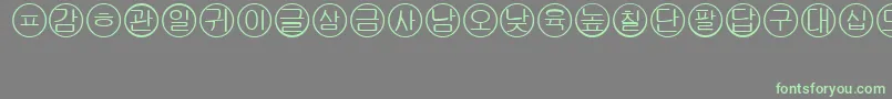 Bullets5koreanRegular Font – Green Fonts on Gray Background