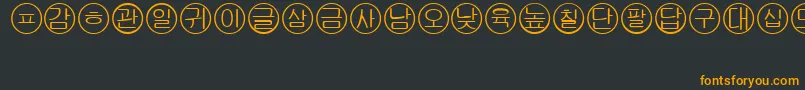 Bullets5koreanRegular Font – Orange Fonts on Black Background