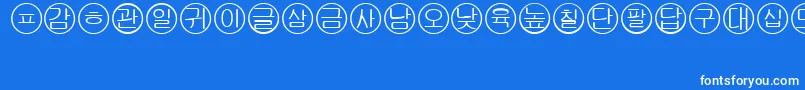 Bullets5koreanRegular Font – White Fonts on Blue Background