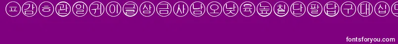 Bullets5koreanRegular Font – White Fonts on Purple Background