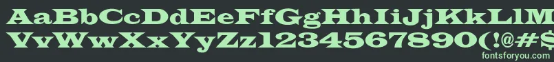 JameswidecndNo Font – Green Fonts on Black Background