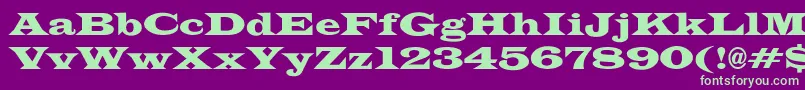 JameswidecndNo Font – Green Fonts on Purple Background