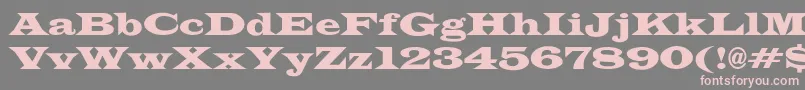 JameswidecndNo Font – Pink Fonts on Gray Background