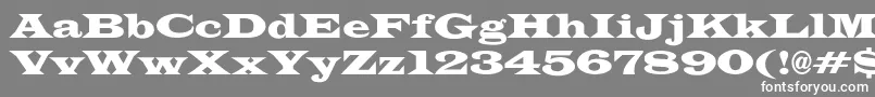 フォントJameswidecndNo – 灰色の背景に白い文字
