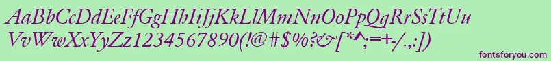 GaramondRomanItalic Font – Purple Fonts on Green Background