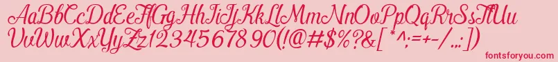 PamegaDemo Font – Red Fonts on Pink Background