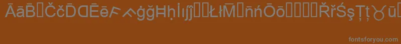 MsReference1 Font – Gray Fonts on Brown Background