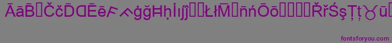 MsReference1-Schriftart – Violette Schriften auf grauem Hintergrund