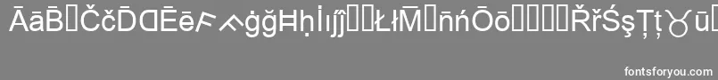 フォントMsReference1 – 灰色の背景に白い文字