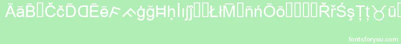 フォントMsReference1 – 緑の背景に白い文字